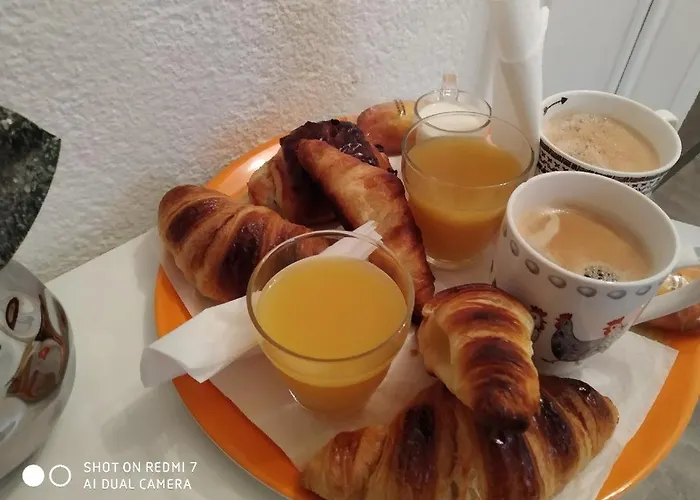 Confortable,gare,climatisation,parking,wifi,pt Dejeuner Compris Perpignan